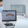 Dental Implants vs. Bridges: Which Is Right for You?